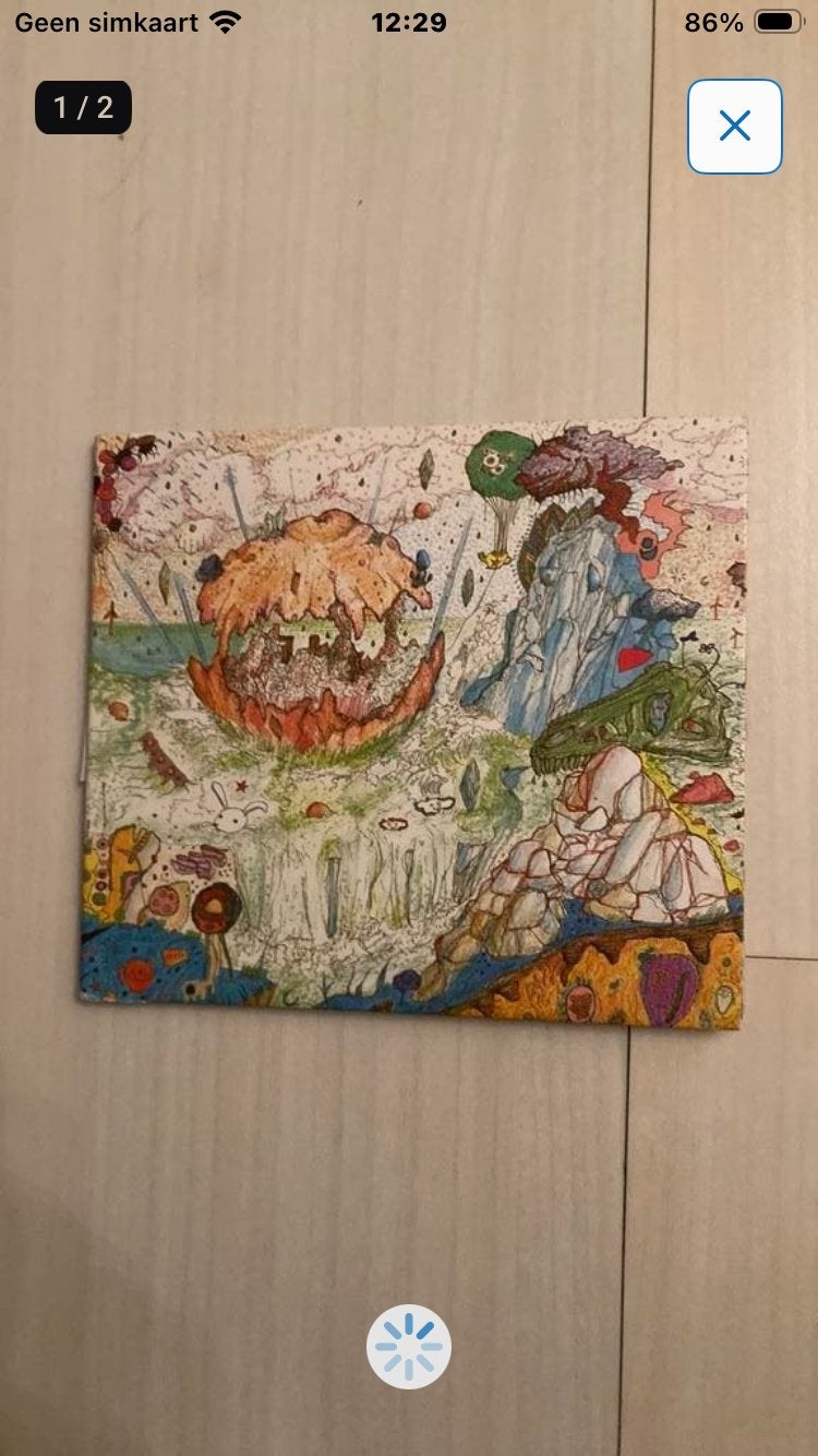 Kiran Leonard - grapefruite (singer-songwriter), Ophalen of Verzenden, Zo goed als nieuw, Singer-songwriter