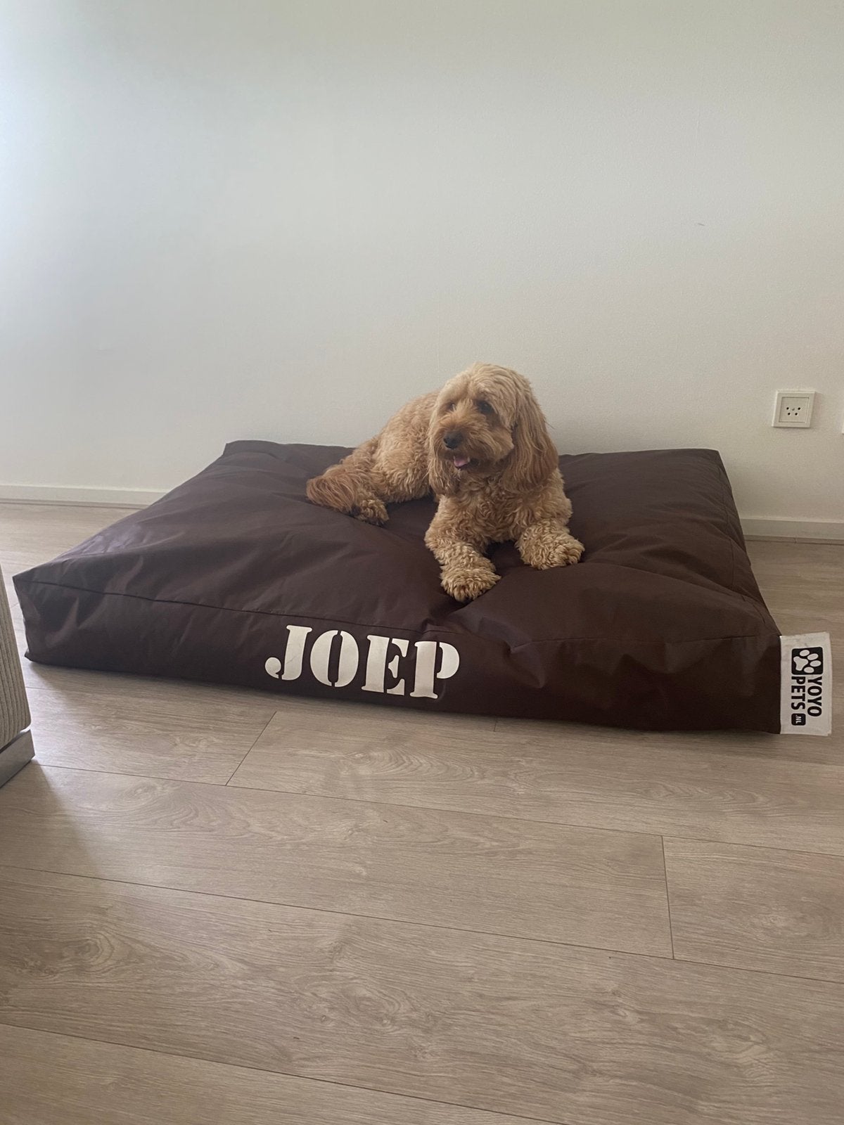 Groot hondenkussen / zitzak YOYO Pets, Ophalen, Gebruikt, Overige