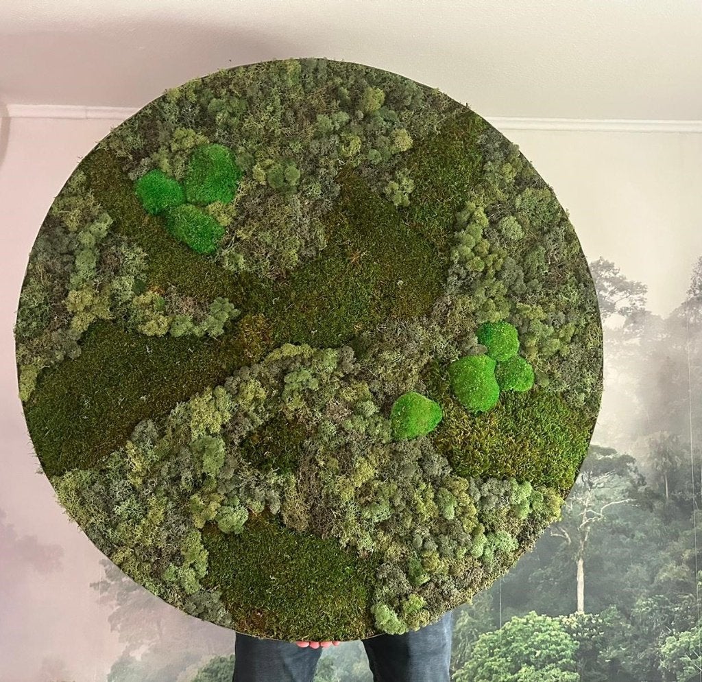 Handgemaakt rond mosschilderij / moscirkel 100cm, Groen, Nieuw, 100 cm, Ophalen of Verzenden