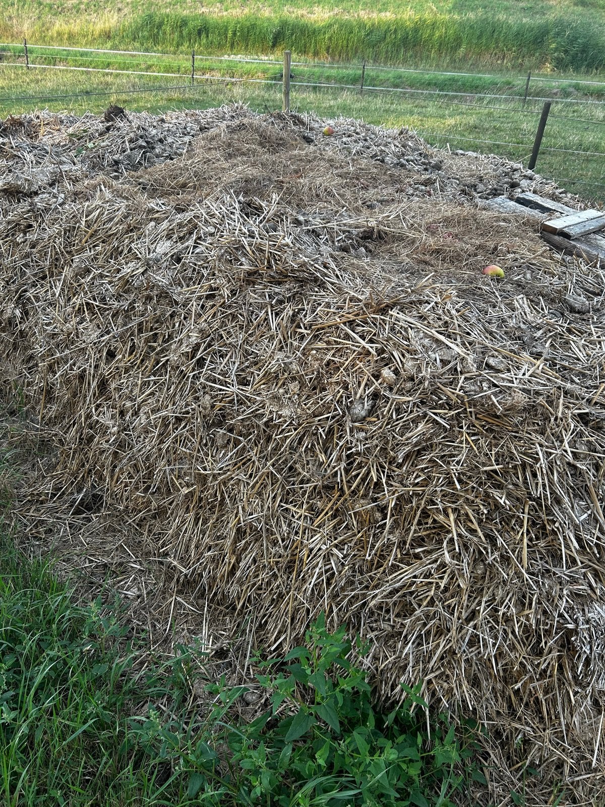 Gratis paardenmest voor uw tuin, Ophalen, Mest