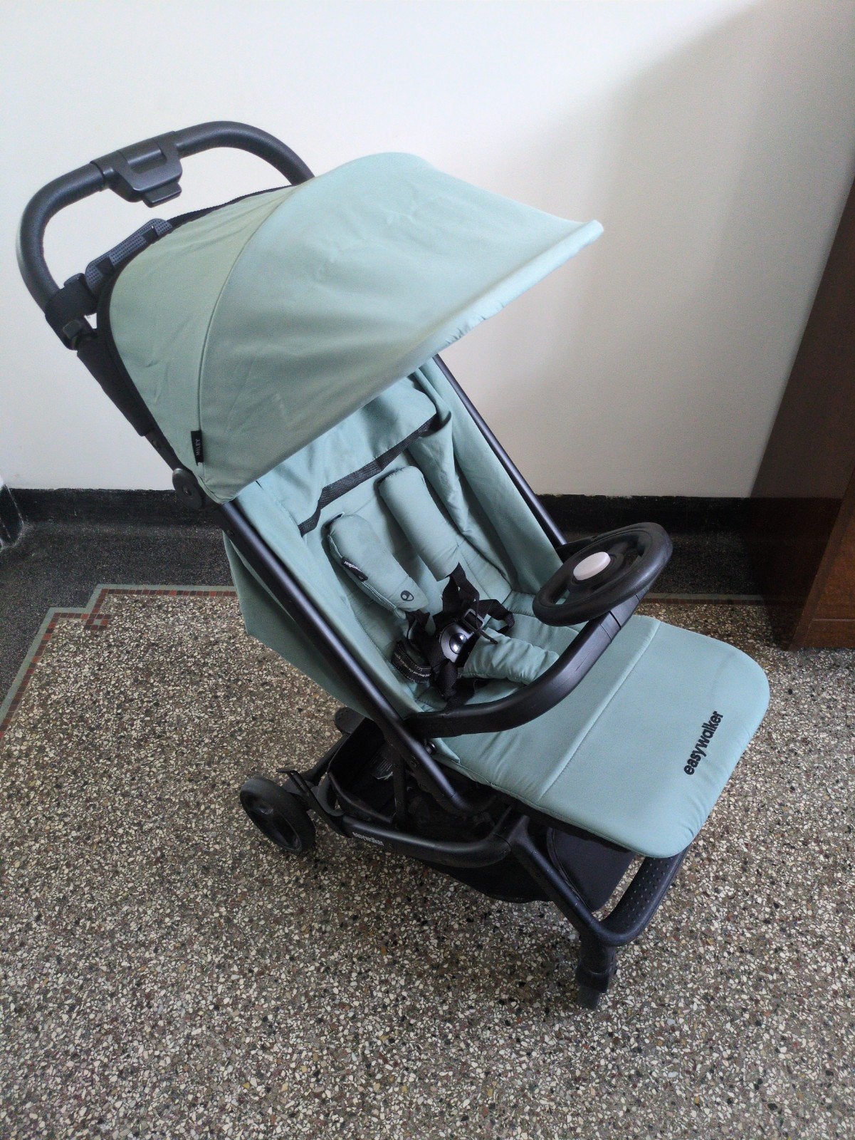 Easywalker Buggy Go - Lichtgewicht en Compact, Kinderen en Baby's, Buggy's, Ophalen, Gebruikt, Overige merken, Verstelbare rugleuning