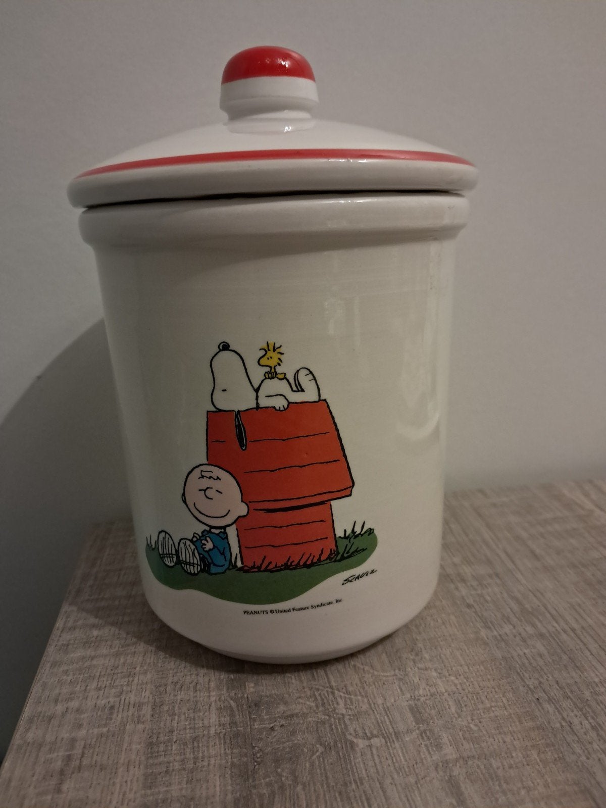 PEANUTS CHARLIE Brown SNOOPY, Huis en Inrichting, Keuken | Potten en Pannen, Ophalen of Verzenden, Zo goed als nieuw, Overige materialen