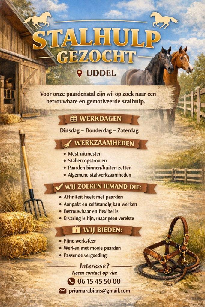 STAL HULP GEZOCHT - UDDEL ( VELUWE ), Dieren en Toebehoren