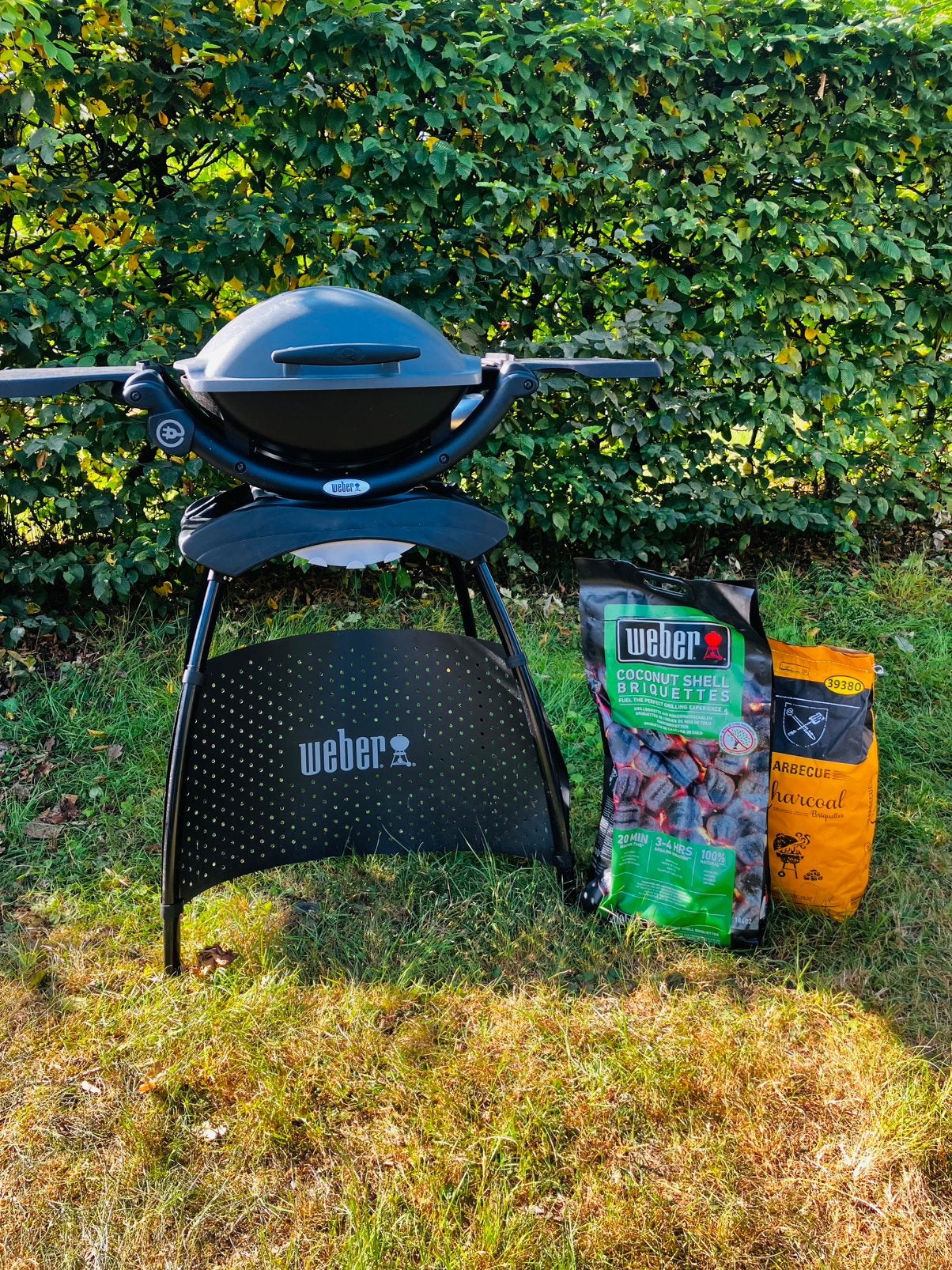 Weber Q1400 elektrische bbq met standaard schoon, Ophalen, Zo goed als nieuw