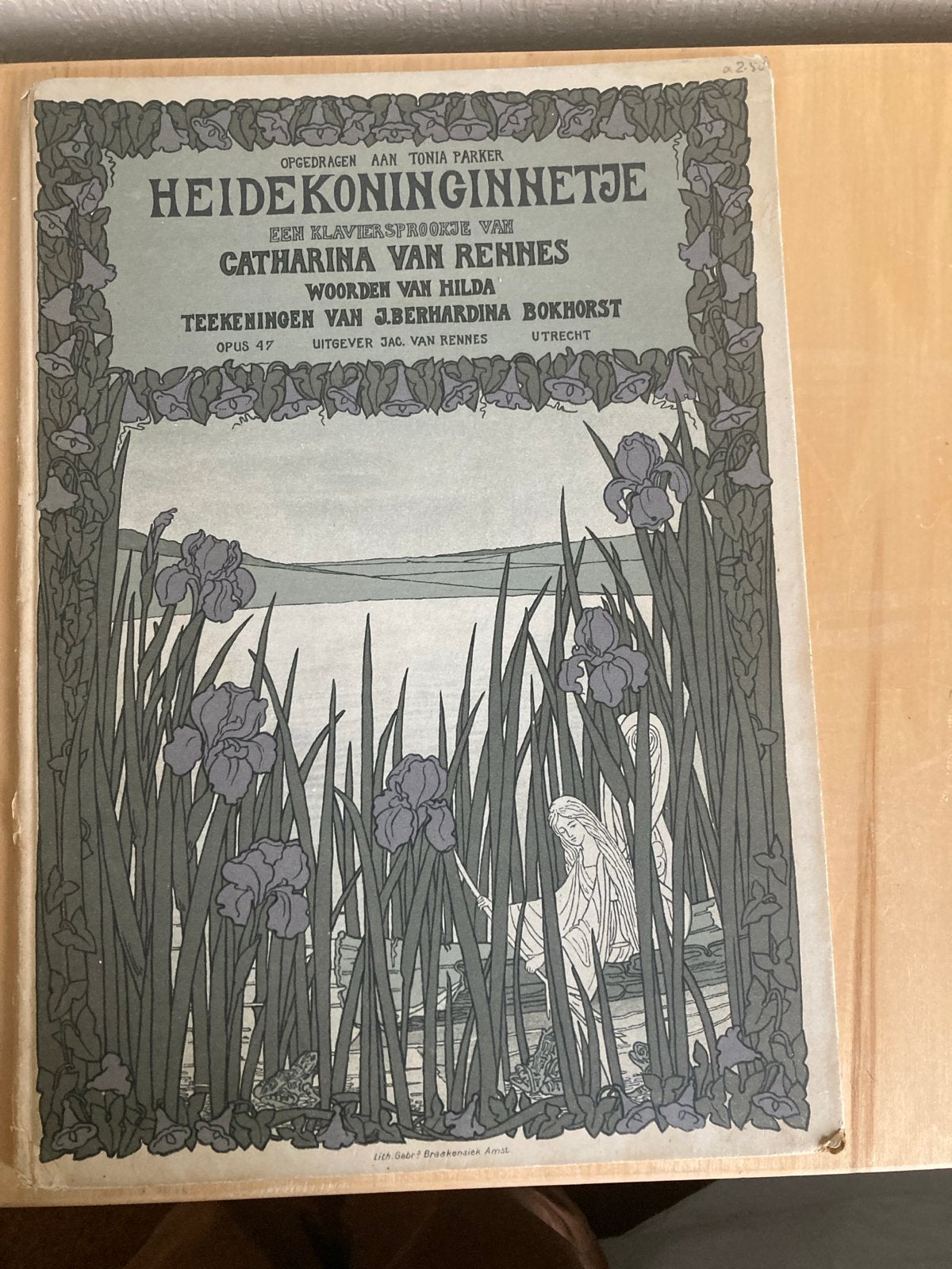 Heidekoninginnetje - Klaviersprookje Catharina van Rennes, Ophalen of Verzenden, Gelezen