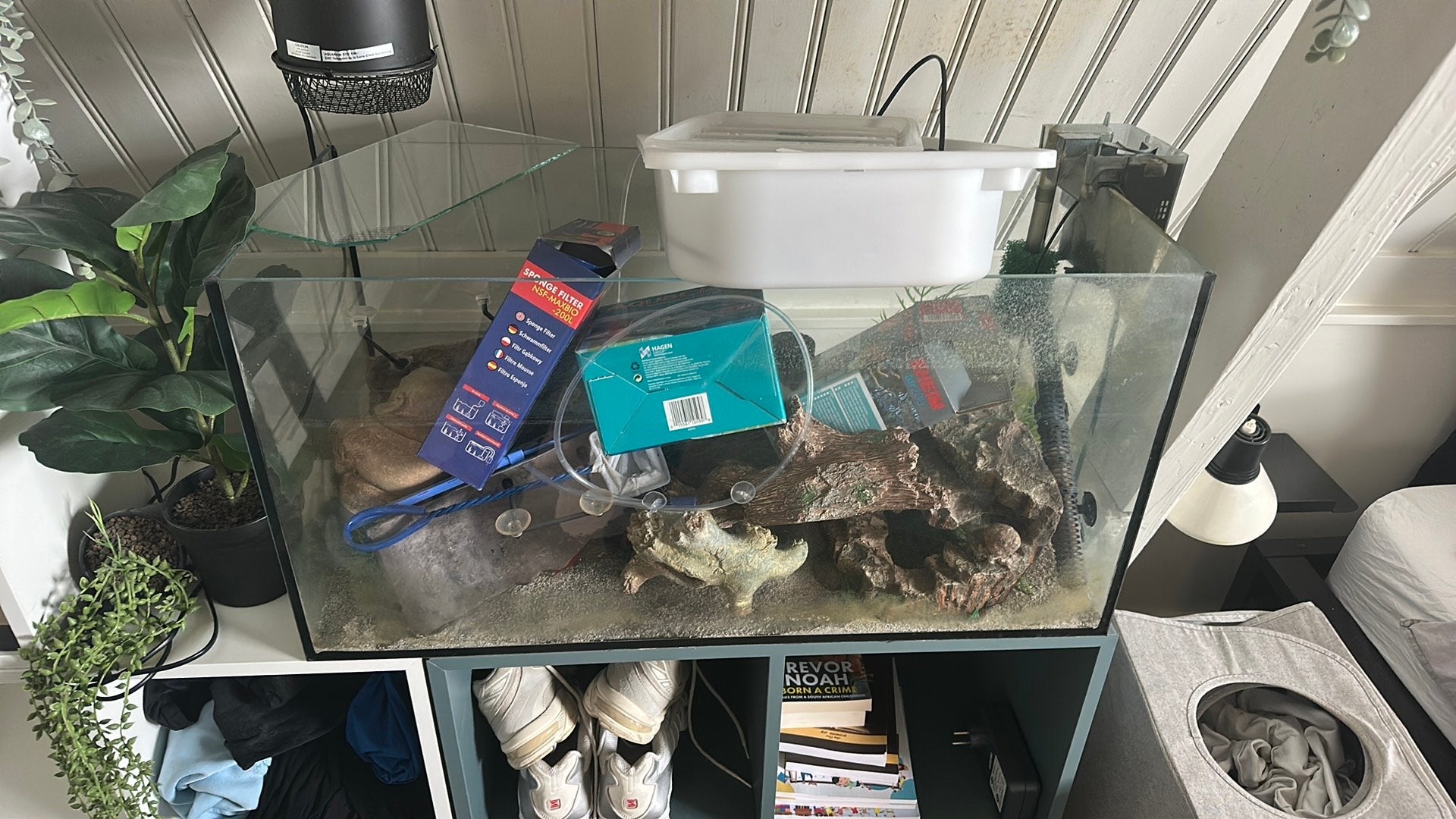 Gratis terrarium, Gebruikt, Overige typen, 75 tot 110 cm, Ophalen