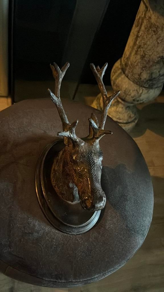 Mooi hertenkopje, Ophalen of Verzenden, Zo goed als nieuw