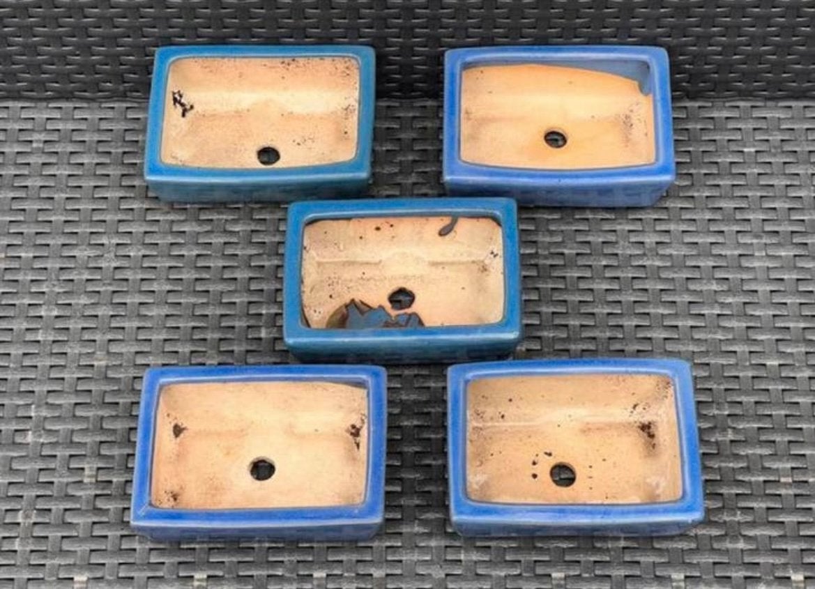 Actie Bonsai schalen licht blauw geglazuurd aardewerk, Tuin en Terras, Bloempotten, Ophalen, Zo goed als nieuw, Aardewerk, Rechthoekig
