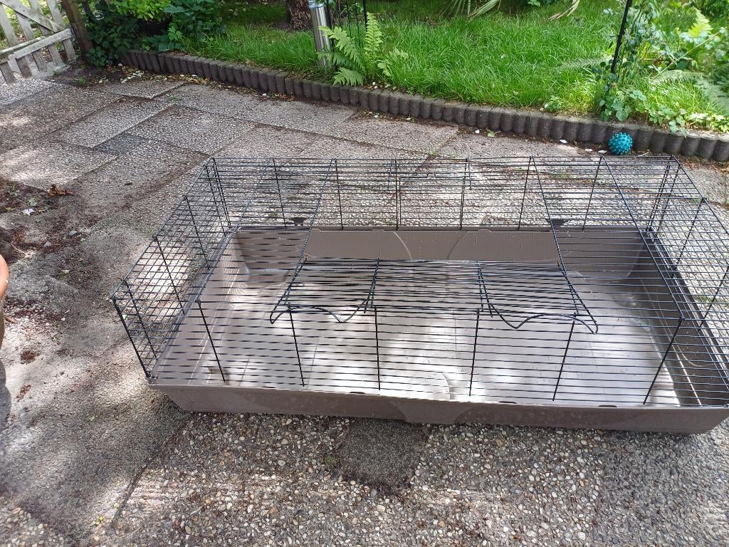 knaagdier ren, Kooi, Minder dan 75 cm, Ophalen, Minder dan 60 cm
