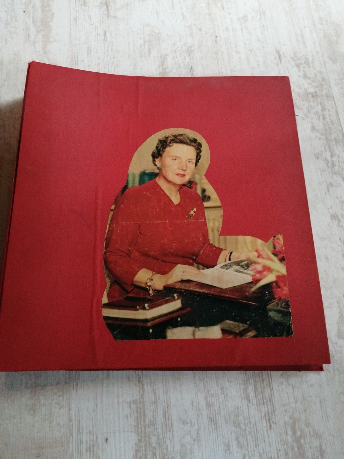 Een unieke verzameling van knipsels en tijdschriften, Gebruikt, Ophalen of Verzenden, X, Nederland