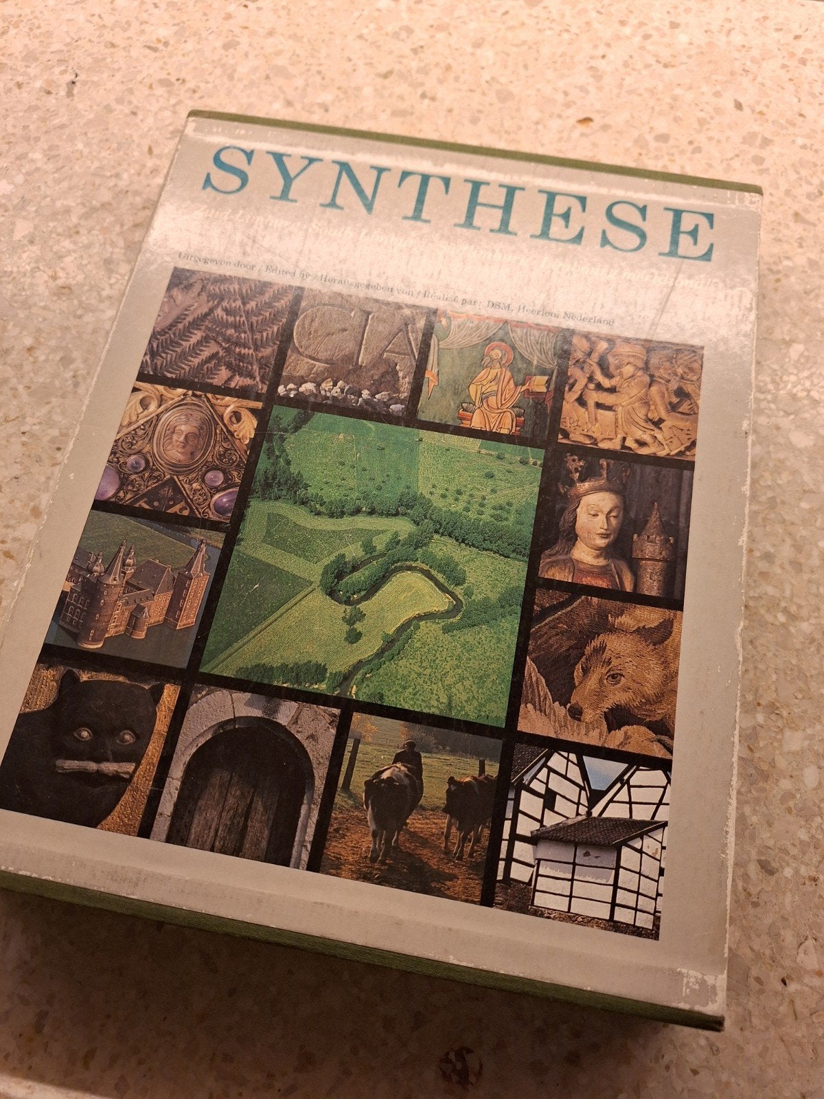 Boek SYNTHESE uitgegeven door DSM - Zuid-Limburg, Ophalen of Verzenden, Gelezen, DSM (uitgever), Nederland