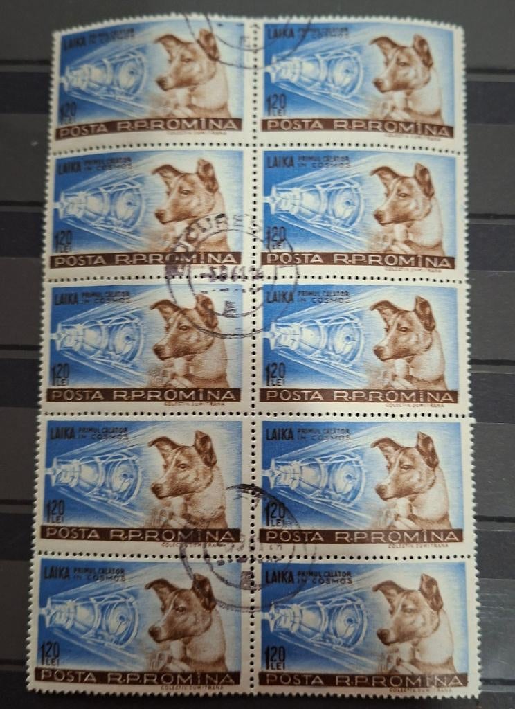 Roemenie Honden Postzegels Vel, Ophalen of Verzenden, Overige landen, Gestempeld