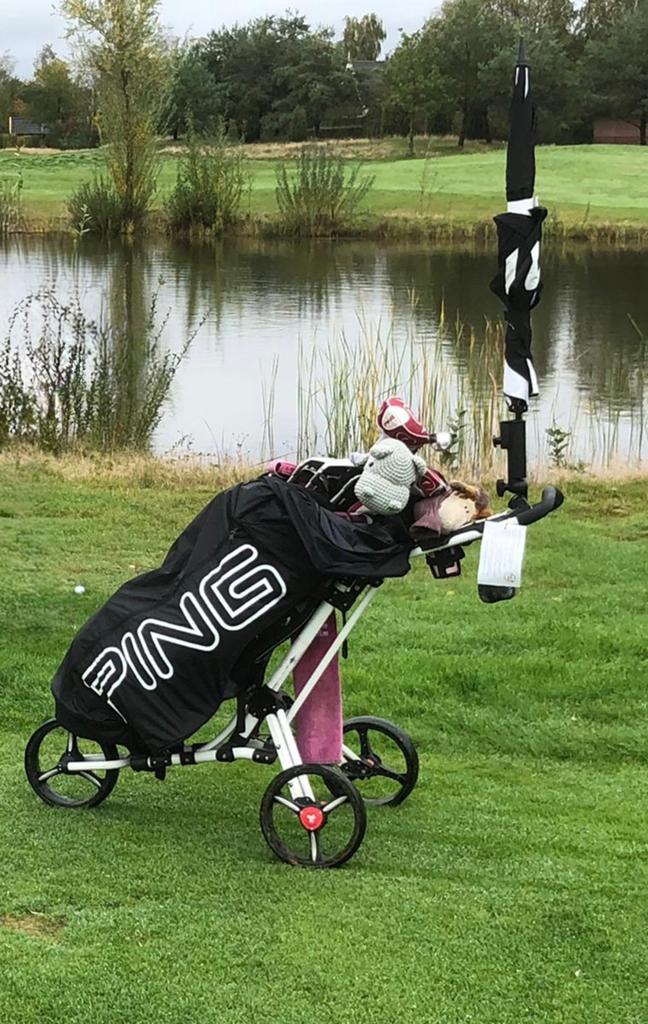 Ping regenhoes voor cartbag, Sport en Fitness, Golf, Ophalen, Zo goed als nieuw, Overige typen, Ping