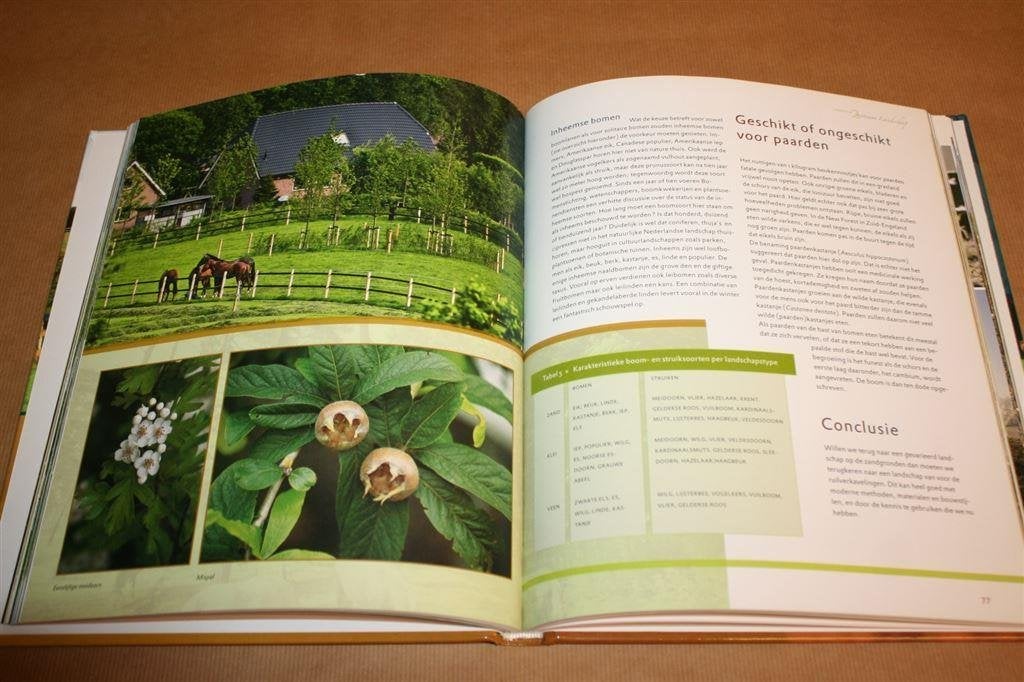 Paard en Landschap. Inspiratieboek met praktische tips., Ophalen of Verzenden, Zo goed als nieuw, Paarden of Pony's