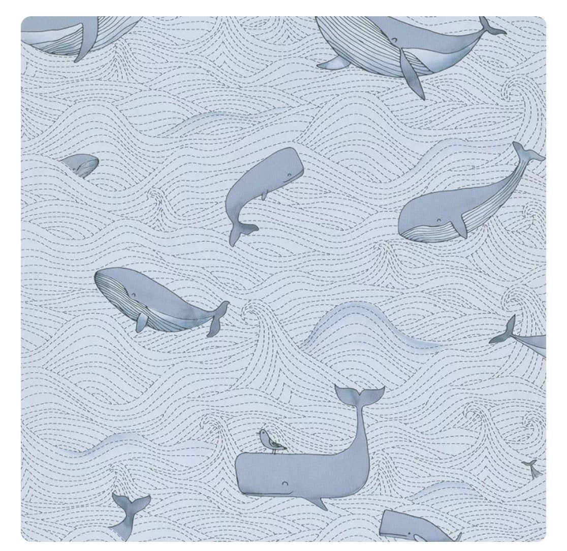 3 rollen BN Walls Doodledo Walvis Behang, Grijs, Natuurlijk, BN, Ophalen of Verzenden