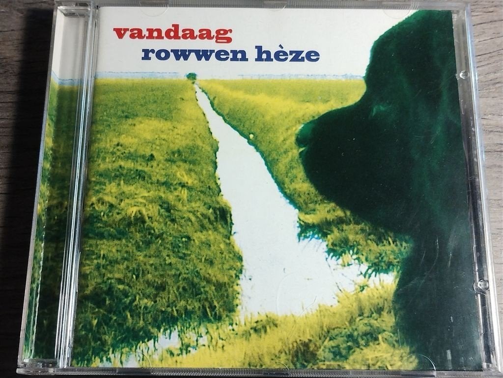 Rowwen Heze - Vandaag, Ophalen of Verzenden, Zo goed als nieuw, Levenslied of Smartlap