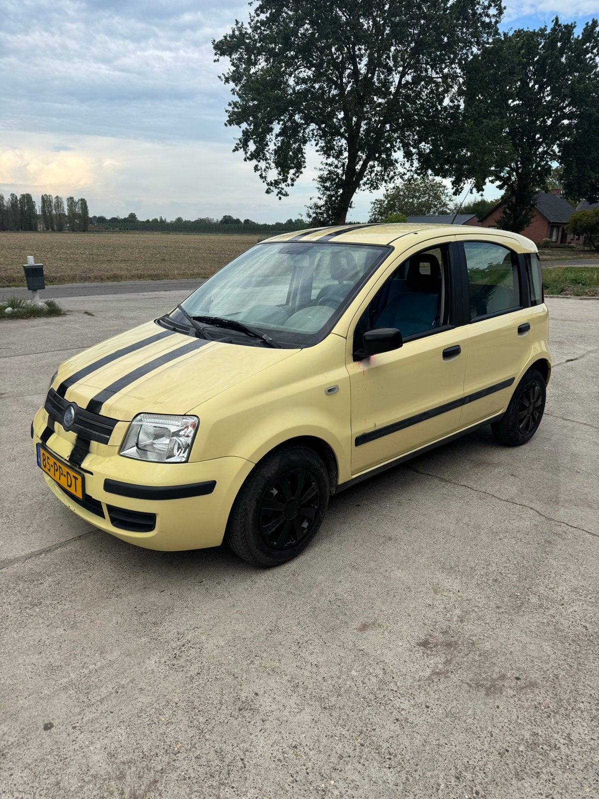 Fiat Panda 1.2 2004 Geel, Voorwielaandrijving, Handgeschakeld, Particulier, 17 km/l