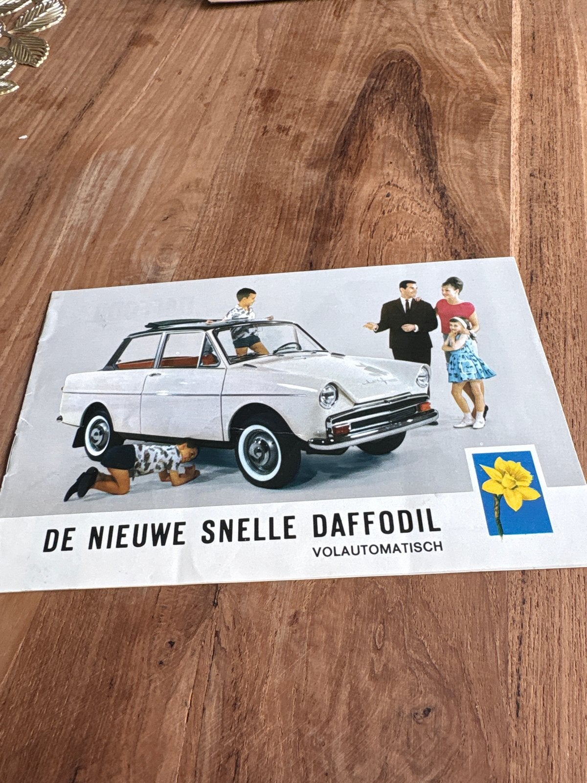 Originele DAF Daffodil brochure - De Nieuwe Snelle Daffodil, Ophalen of Verzenden, Gelezen, Overige merken