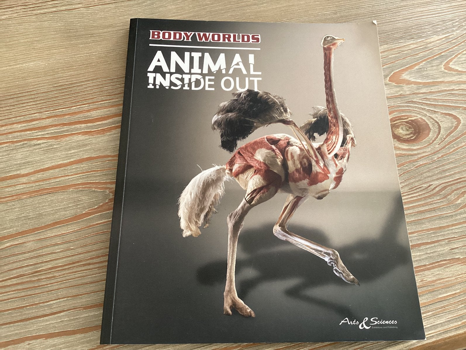 Body worlds animal inside out, Ophalen of Verzenden, Zo goed als nieuw, Artiest