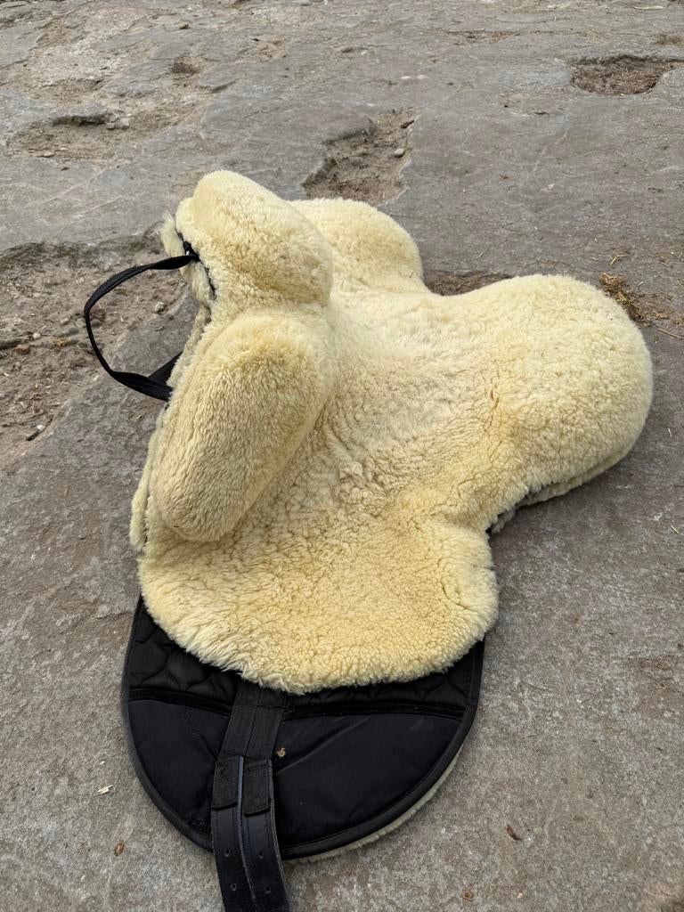 Barepack paard super goede staat, Ophalen of Verzenden, A, Dressuur, A