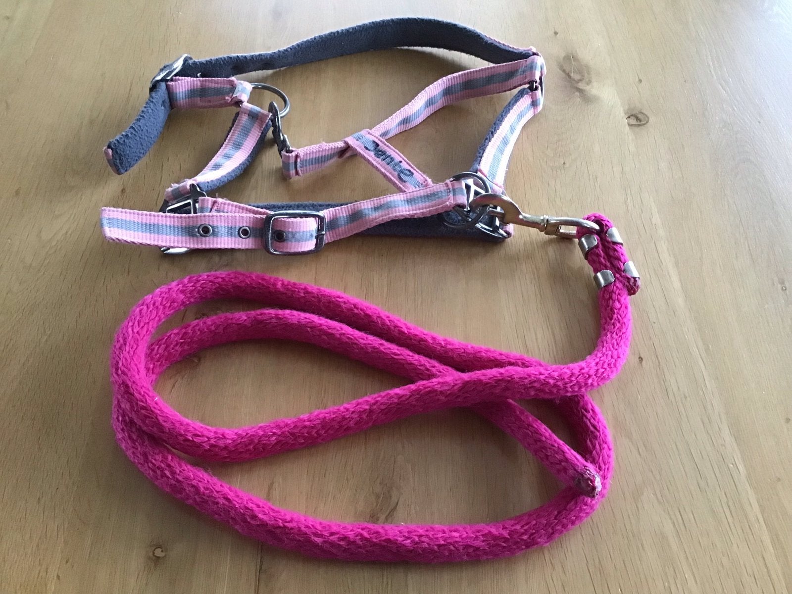 Pony Halster igst, Gebruikt, Recreatie, Halster, Roze