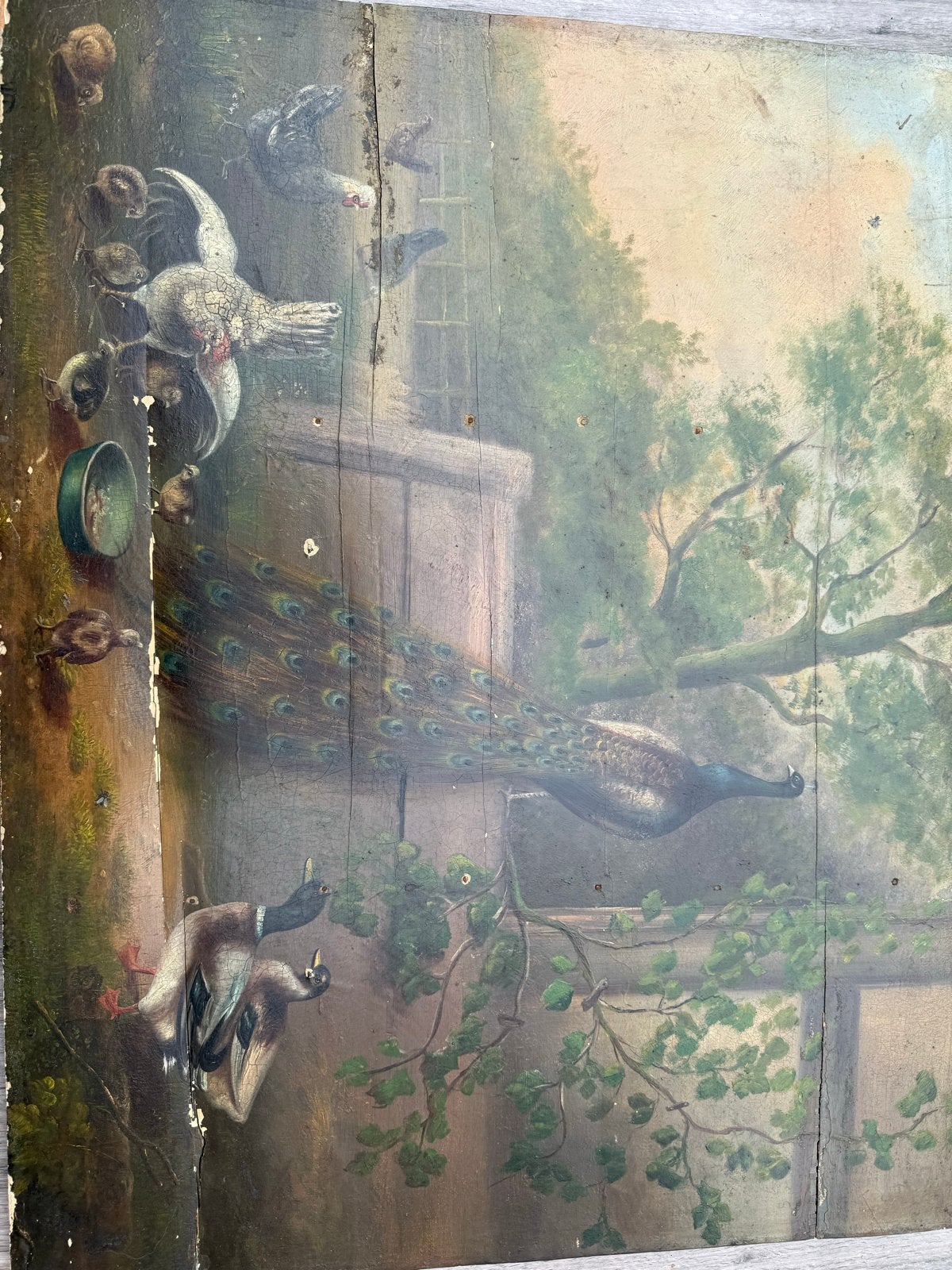 Antiek schilderij op houten plank met pauw en eenden, Antiek en Kunst, Kunst | Schilderijen | Klassiek, Ophalen, Paneel, Dieren