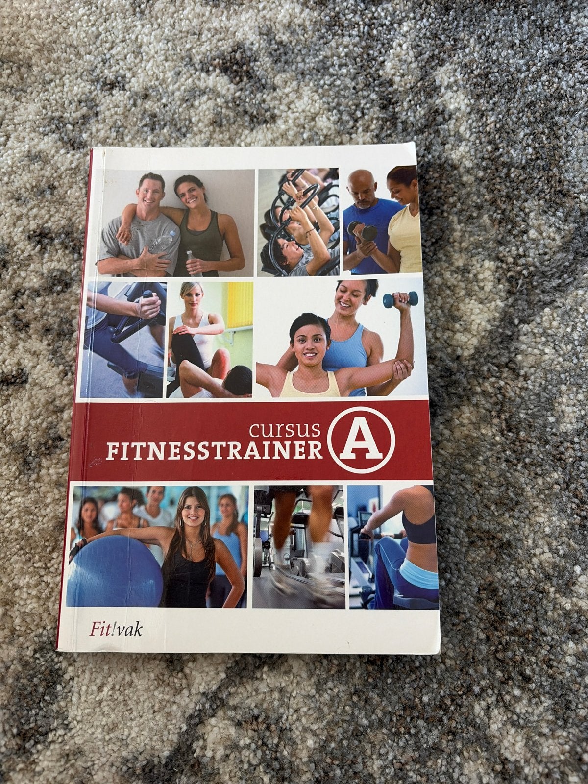 Cursus Fitnesstrainer A - Fit!vak, Ophalen of Verzenden, Beta, Gelezen, MBO