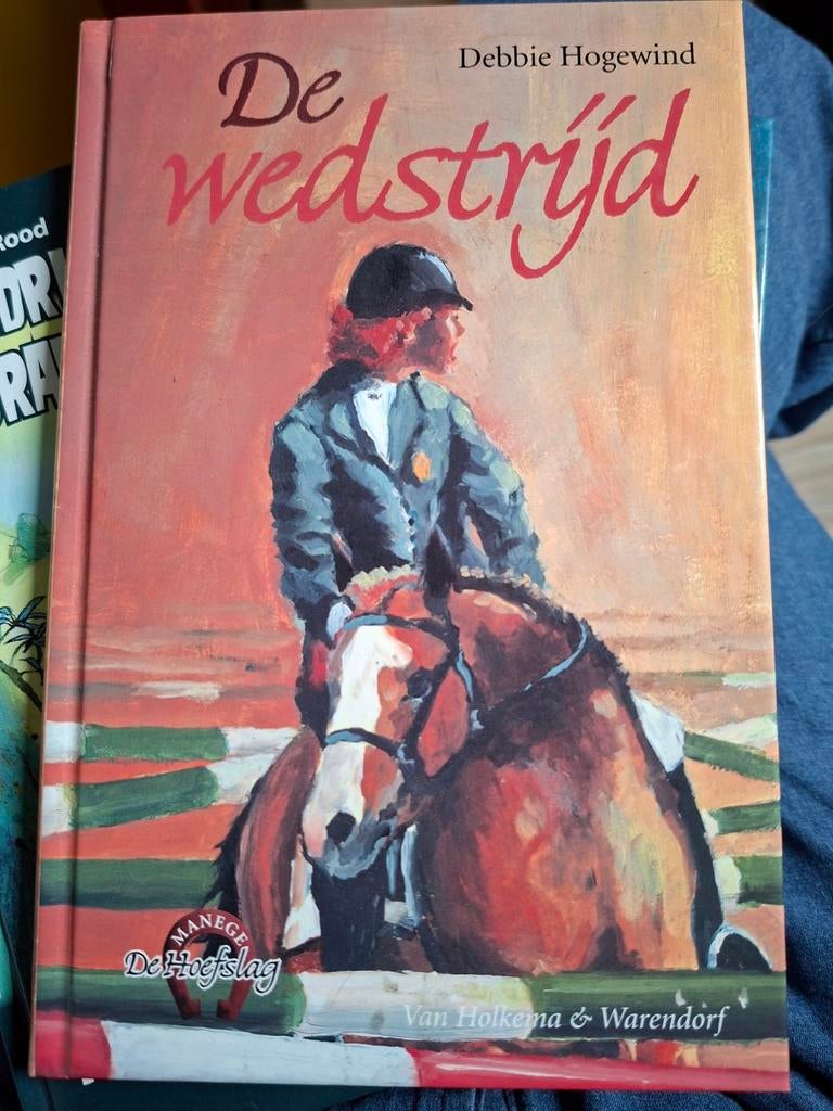 D. Hogewind - De wedstrijd, Ophalen of Verzenden, Zo goed als nieuw, D. Hogewind