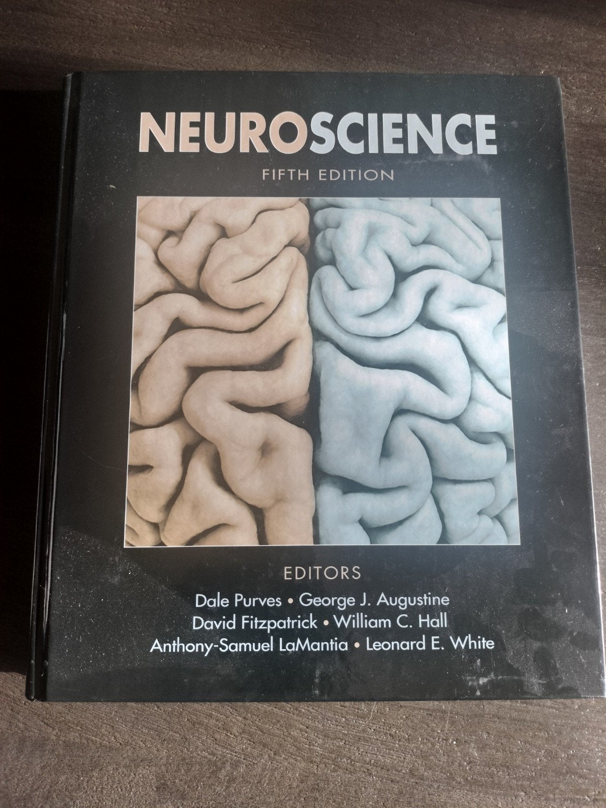 Studie boek: Neuroscience 5th, Boeken, Ophalen of Verzenden, Beta, Zo goed als nieuw, HBO