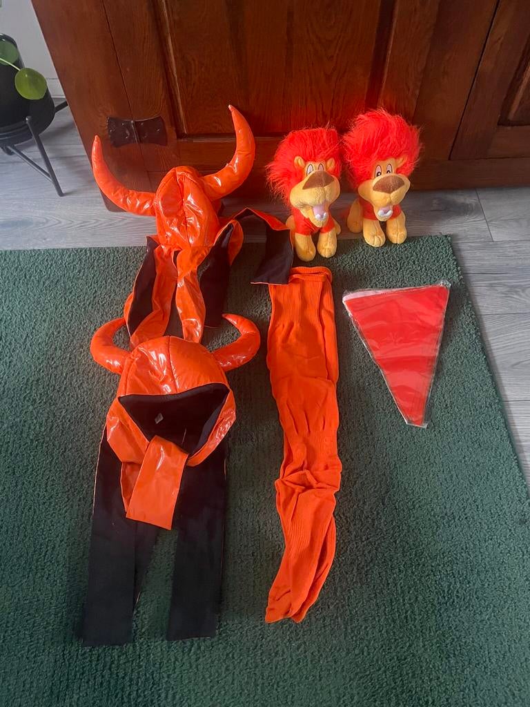Wat Oranje artikelen:2 Helmen/2 Leeuw Knuffels/Sokken/Shirt, Ophalen, Zo goed als nieuw, Overige typen, Oranje of Koningsdag
