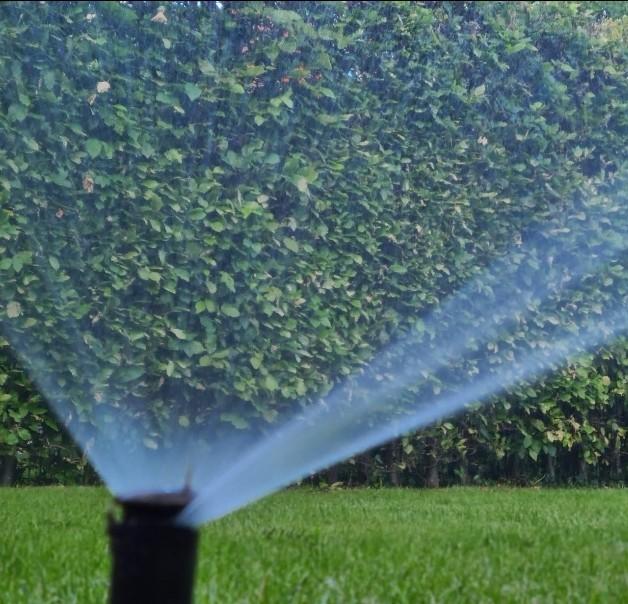 Puls, puntstuk, waterbron, Tuin en Terras, Ophalen of Verzenden, Nieuw