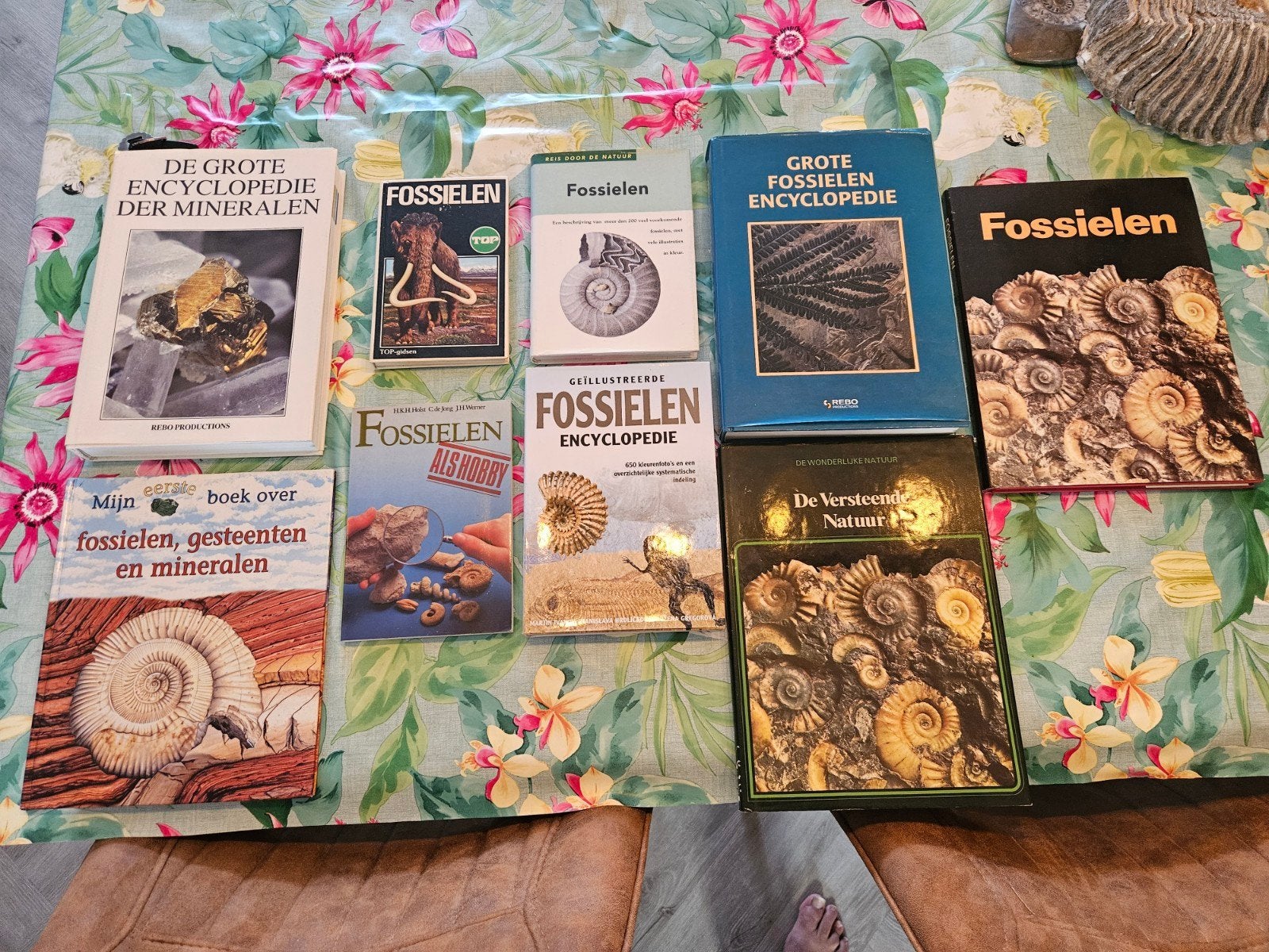 Boeken over fossielen en mineralen - diverse titels, Boeken, Ophalen of Verzenden, Gelezen, Natuur algemeen