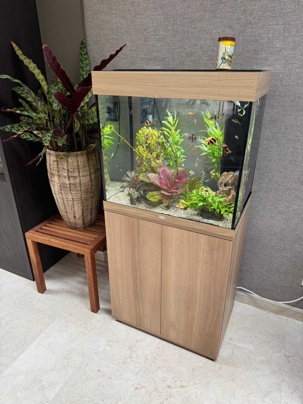 Juwel lido 120 inclusief inhoud, Ophalen, Inclusief vissen, Juwel, Gevuld zoetwateraquarium