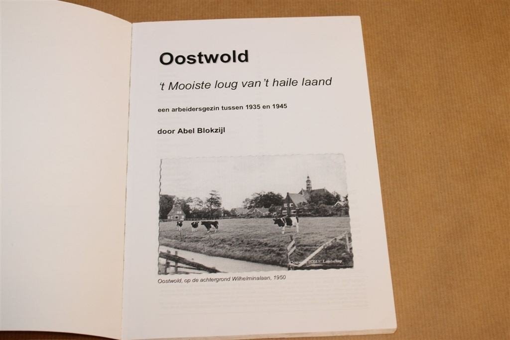 Oostwold — Arbeidersgezin 1935-1945, Boeken, Ophalen of Verzenden, Gelezen