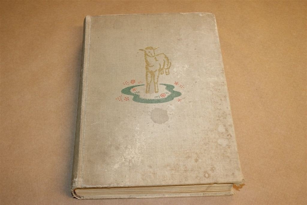 Kinderbijbel — Vintage met Illustraties, 382p 1952, Ophalen of Verzenden, Gelezen