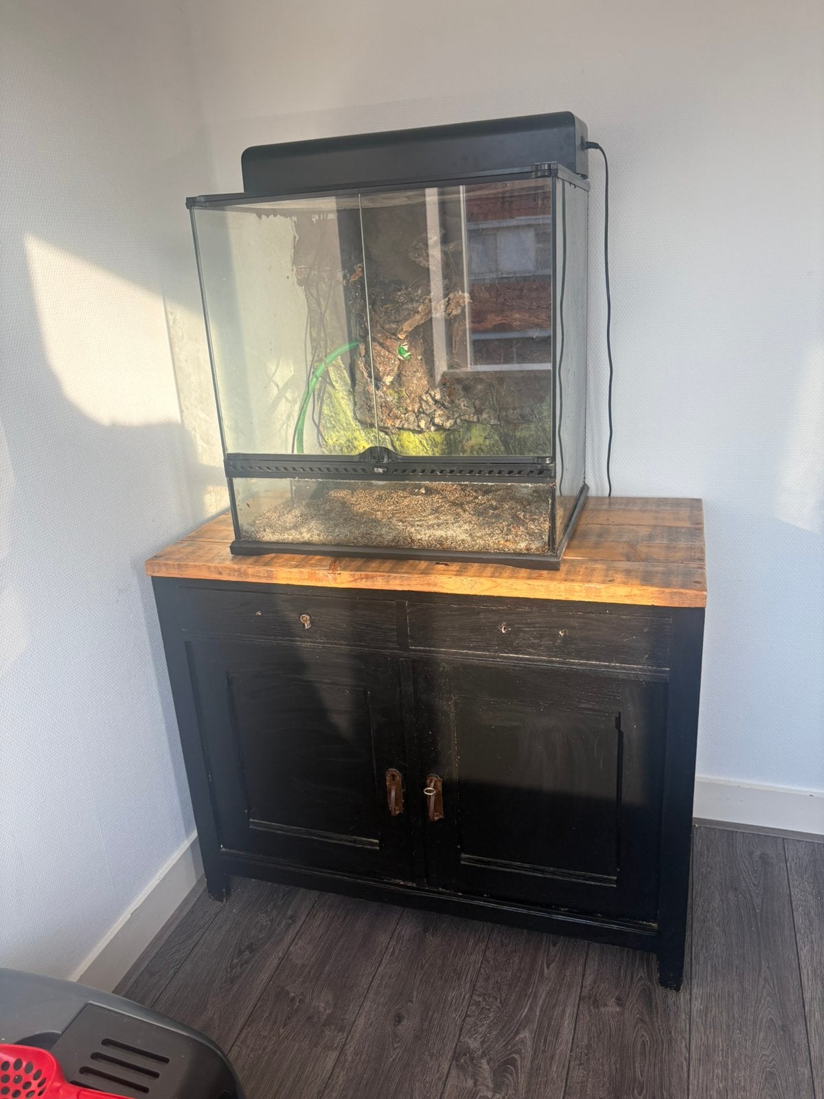 Exo terra terrarium incl toebehoren 60 x 45 x60, Ophalen, Gebruikt, Terrarium of Paludarium