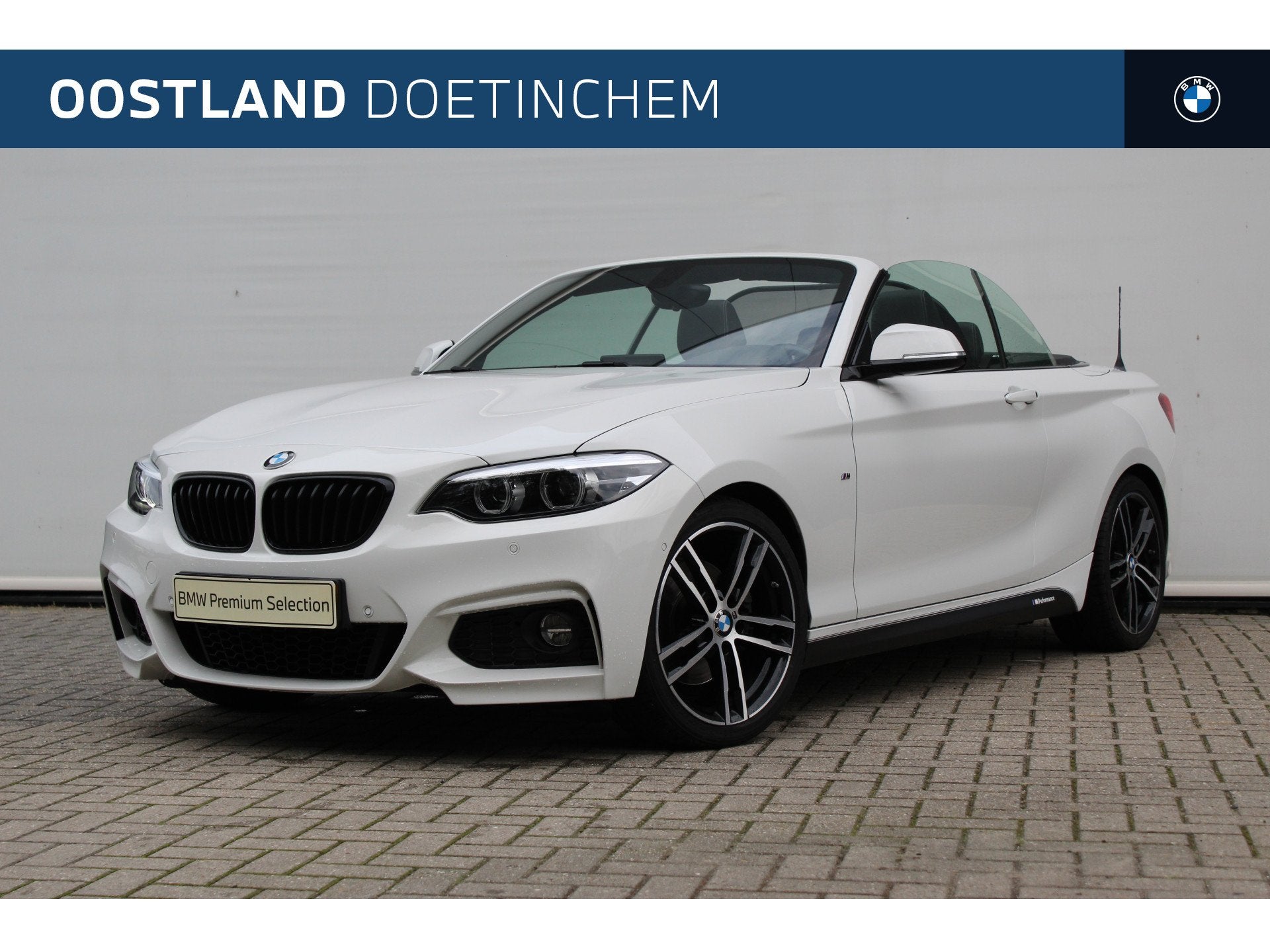 BMW 2 Serie Cabrio 220i High Executive M Sport Automaat / Sp, Automaat, Achterwielaandrijving, Gebruikt, 4 cilinders