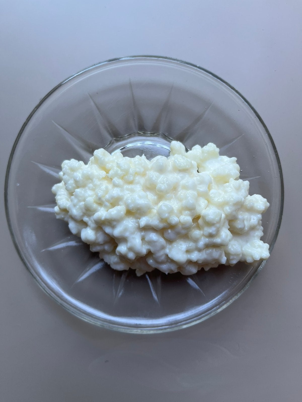 Melk kefir korrels 50 g, Ophalen of Verzenden