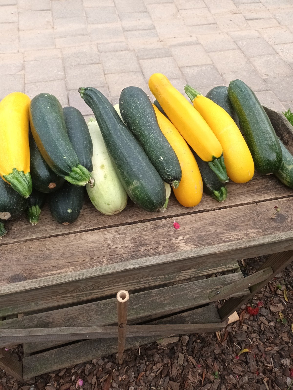 Courgettes zie foto koopje, Ophalen