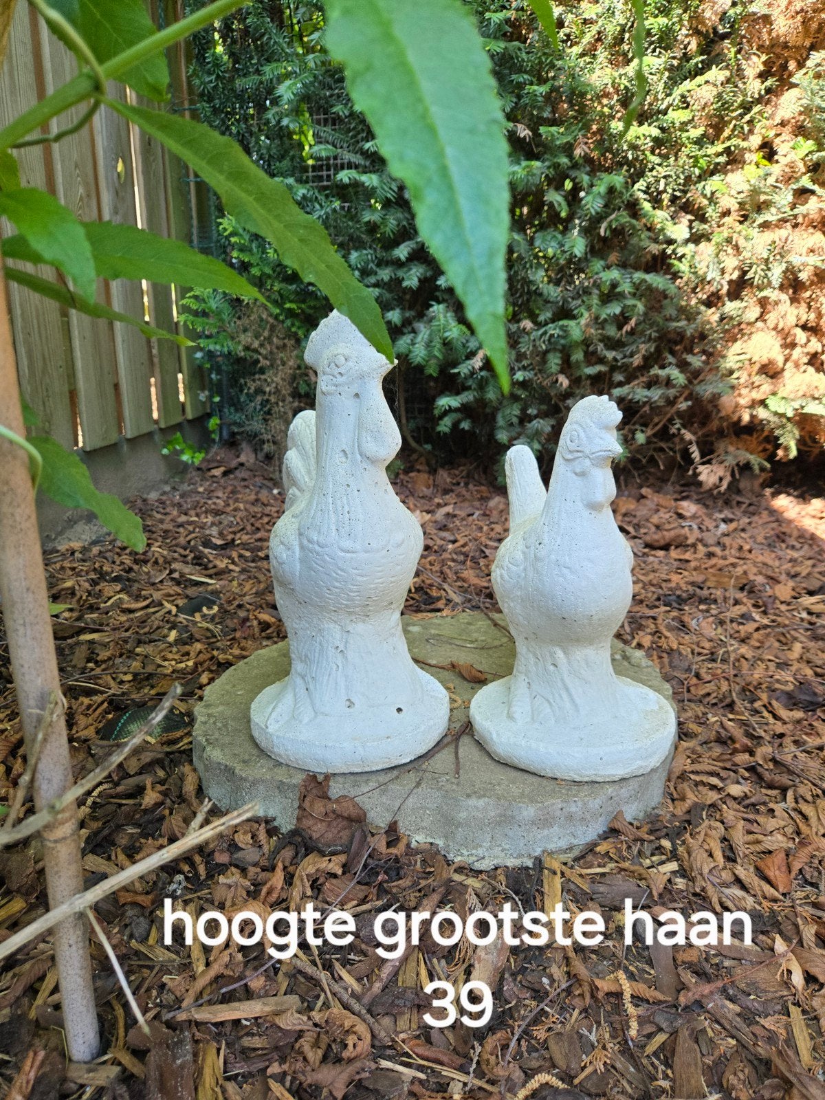 hanen beton 2 stuks 30 euro of..., Tuin en Terras, Tuinbeelden, Ophalen