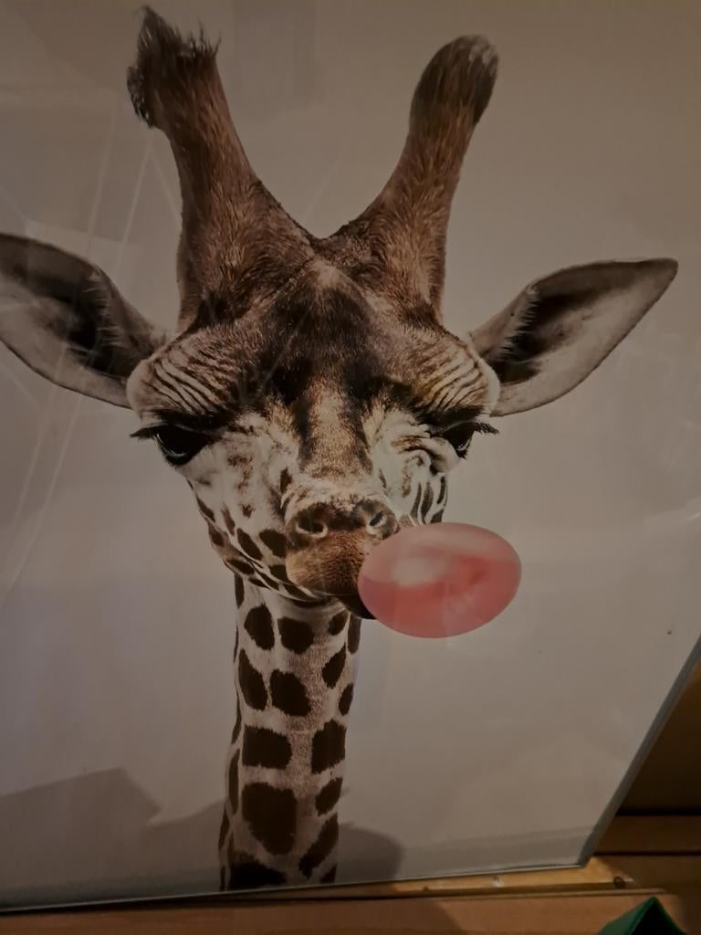 Schilderij giraf, Ophalen of Verzenden, Zo goed als nieuw