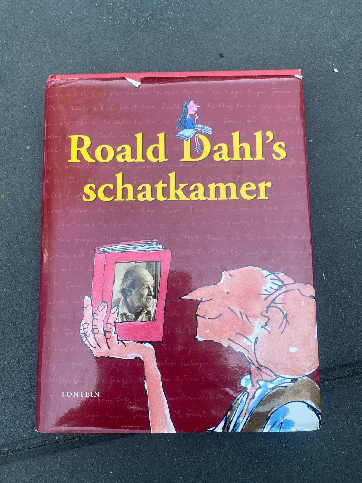Roald Dahl's Schatkamer - Een verzameling verhalen, Ophalen of Verzenden, Gelezen, Fictie algemeen