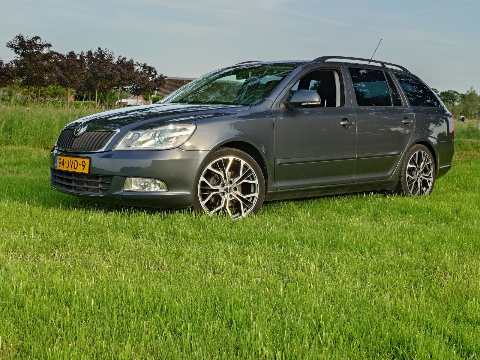 Skoda Octavia 1.4 TSI 2009 advertentie lezen!, Auto's, Skoda, Voorwielaandrijving, Stof, 4 cilinders, 122 pk