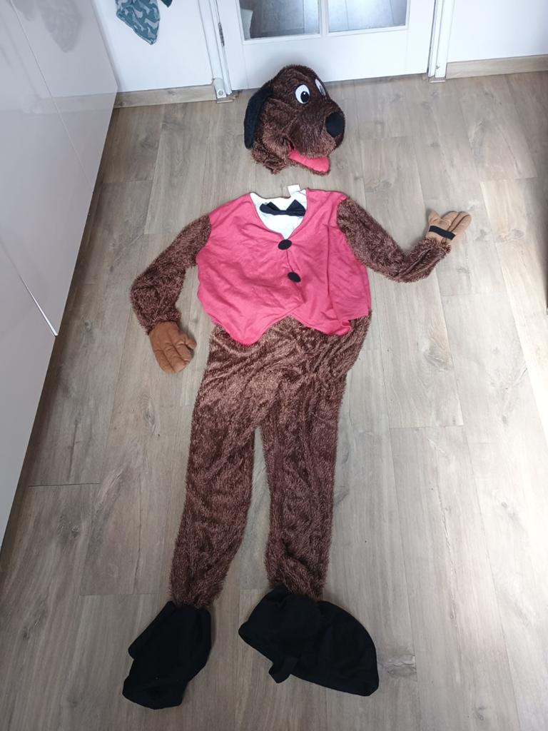 Verkleedpak hond groot, Ophalen of Verzenden, Zo goed als nieuw, 122 t/m 128, Jongen of Meisje