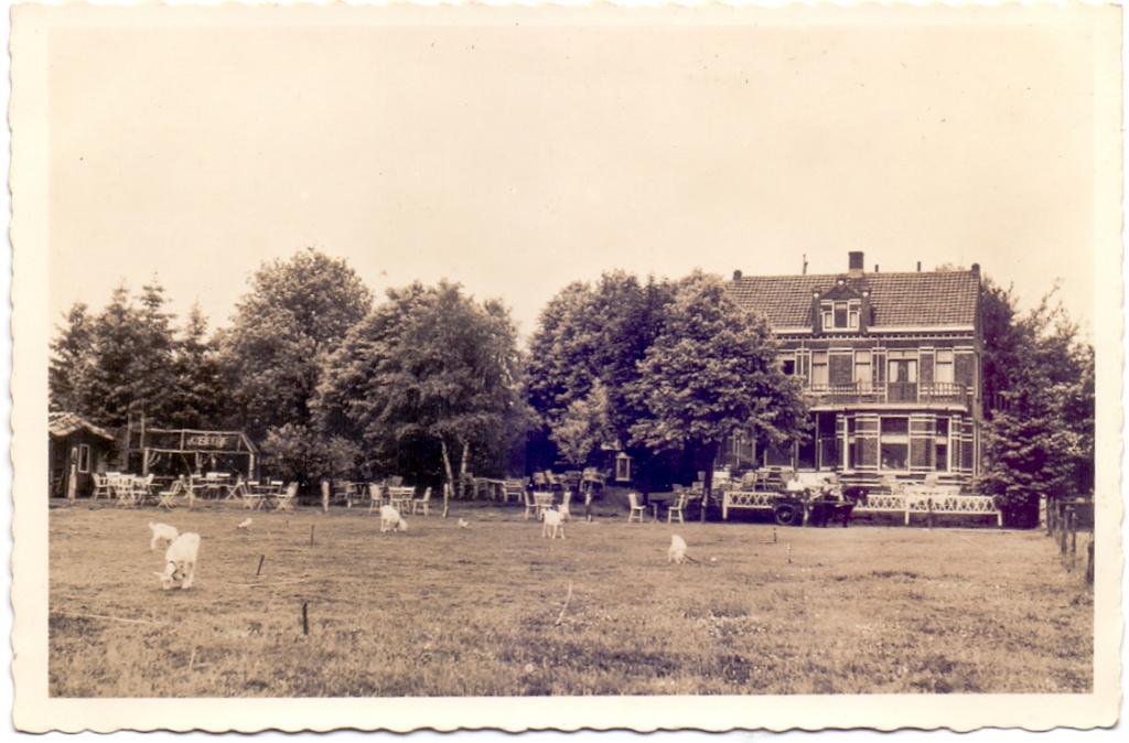 Hilvarenbeek hotel café restaurant 't kasteeltje ca 1950, Verzenden, 1940 tot 1960, Ongelopen, Noord-Brabant
