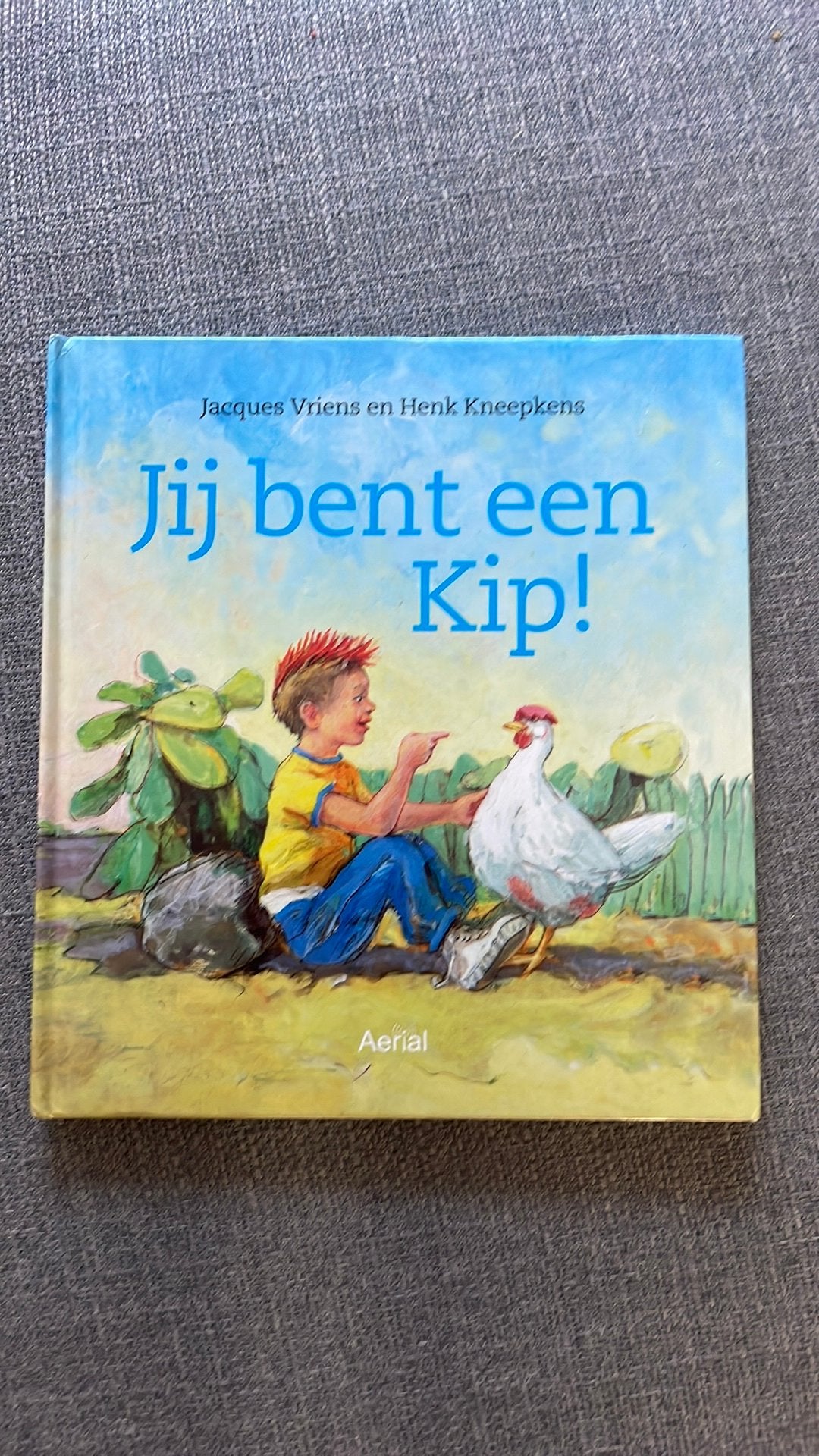 Boek: jij bent een kip! - Jacques Vriens & Henk Kneepkens, Boeken, Kinderboeken | Kleuters, Ophalen of Verzenden, Zo goed als nieuw