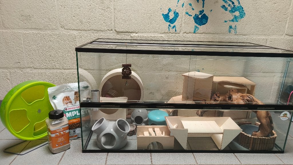 Luxe grote hamster kooi of terrarium inclusief toebehoren, Dieren en Toebehoren, Kooi, Gebruikt, Hamster, 75 tot 110 cm