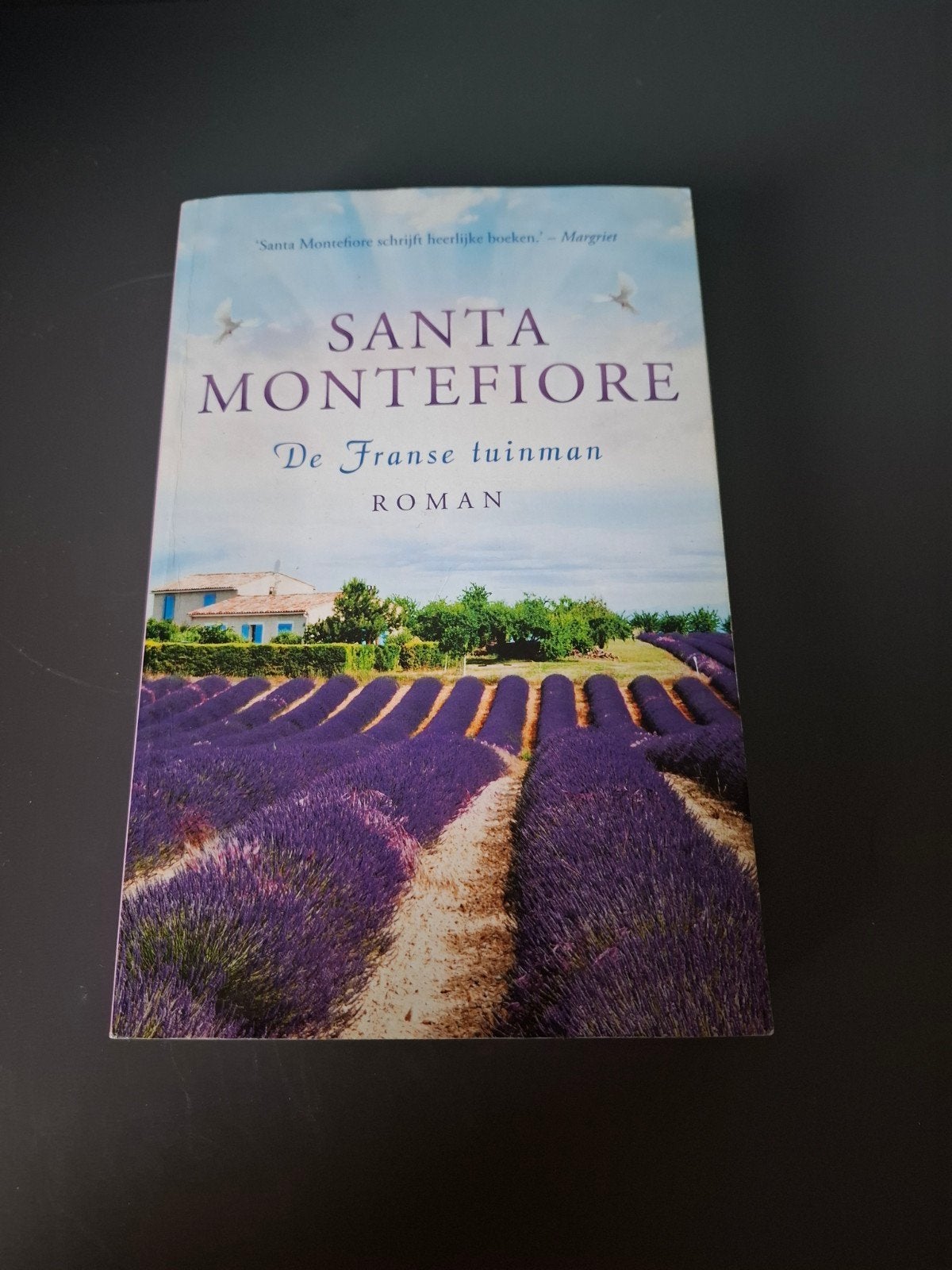 De Franse Tuinman - Santa Montefiore, Ophalen of Verzenden, Gelezen, Santa Montefiore
