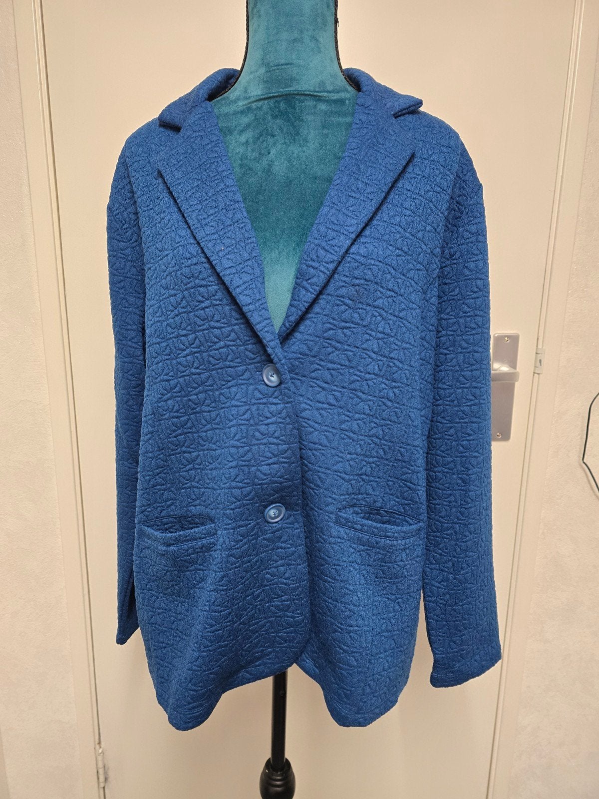 Blazer van Gabriella K maat 50, Kleding | Dames, Grote Maten, Ophalen of Verzenden, Zo goed als nieuw, Trui of Vest