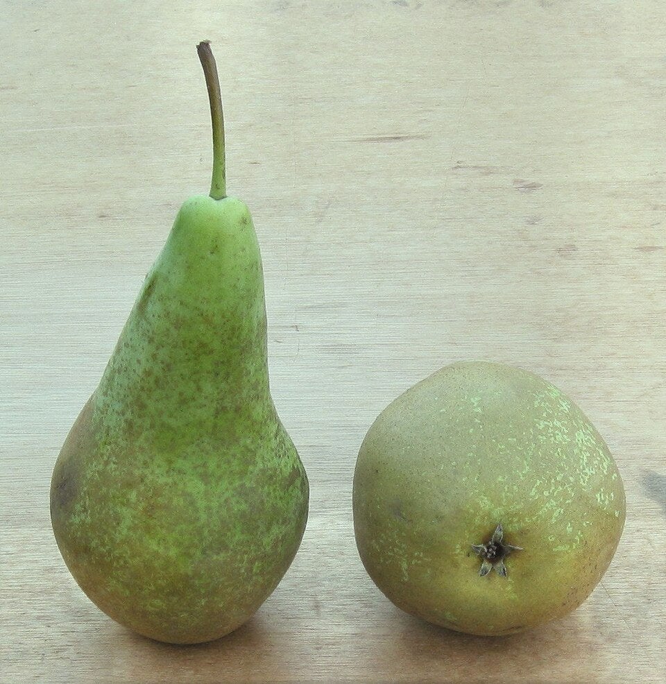 Handperen, Diversen, Ophalen